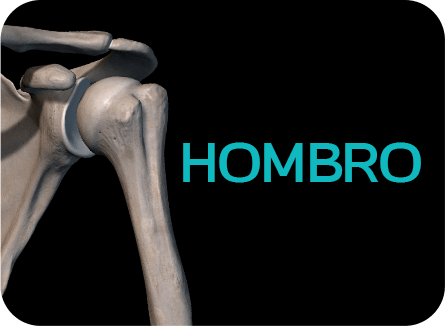 Hombro